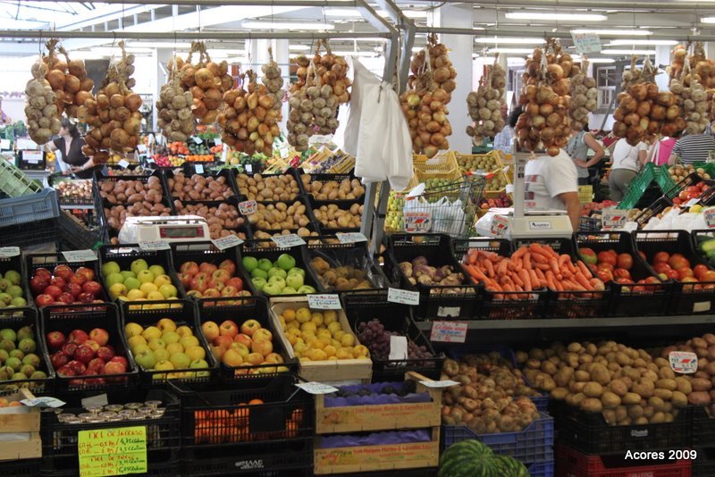 img_0519.jpg